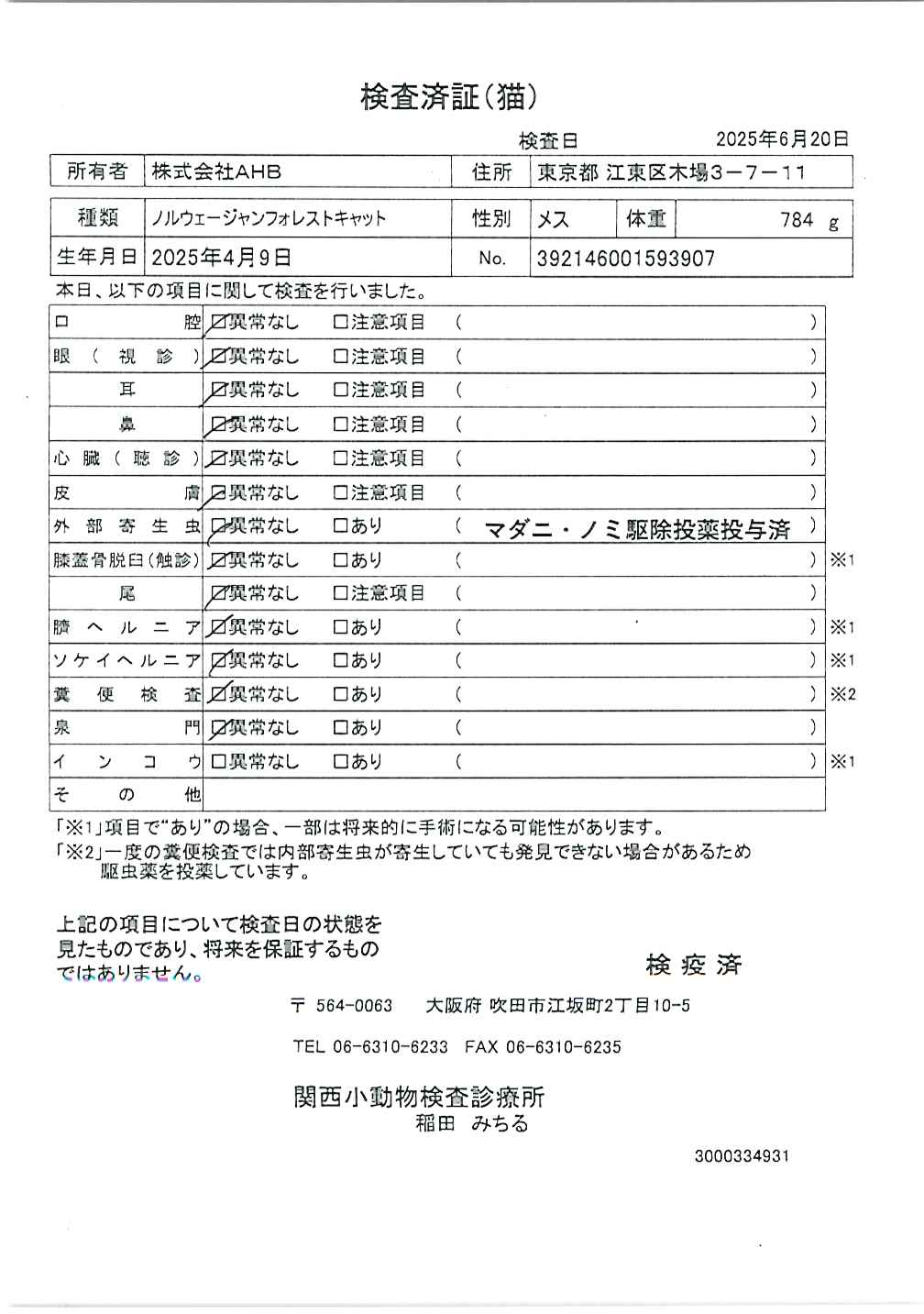 ノルウェージャンフォレストキャット