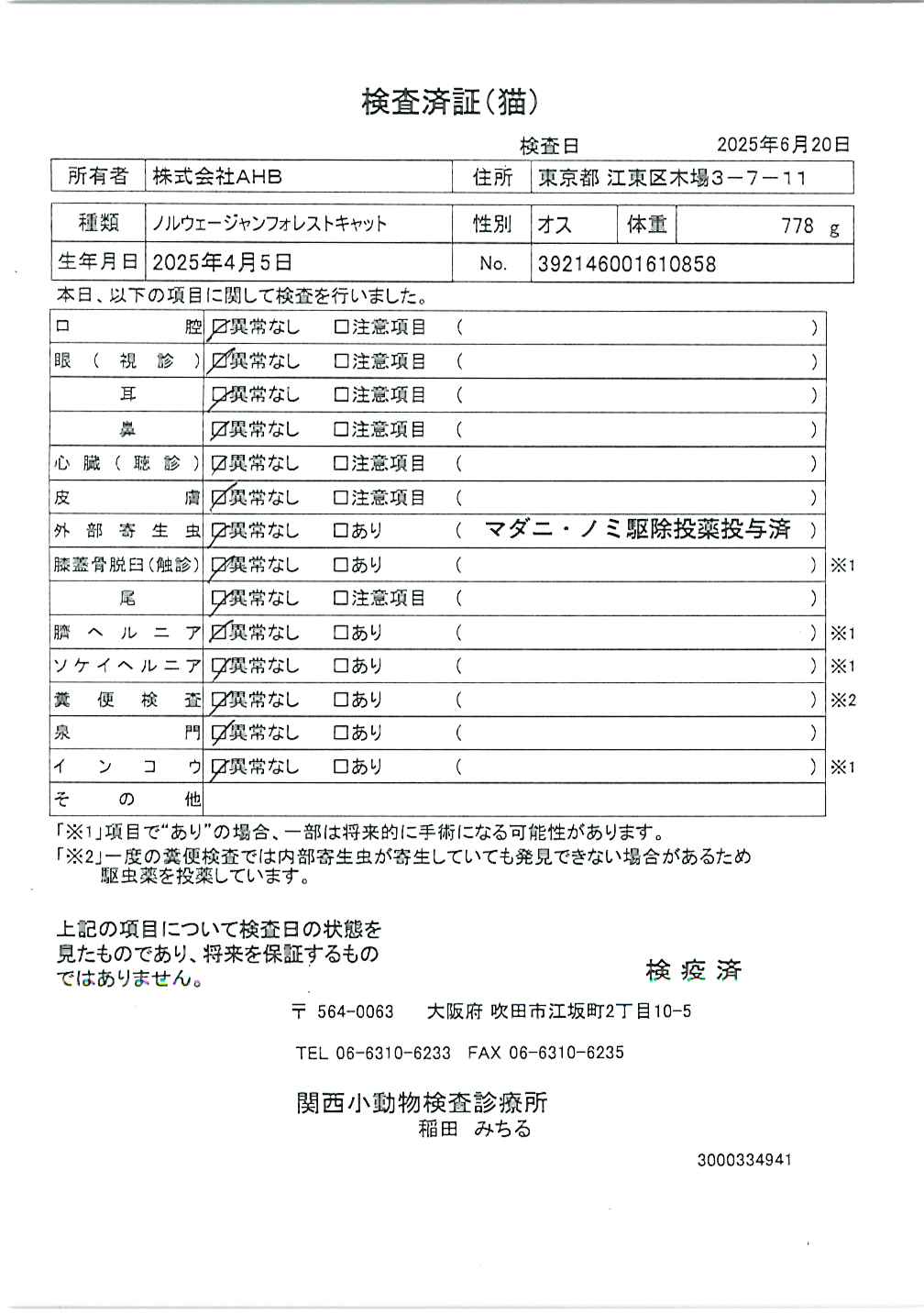ノルウェージャンフォレストキャット