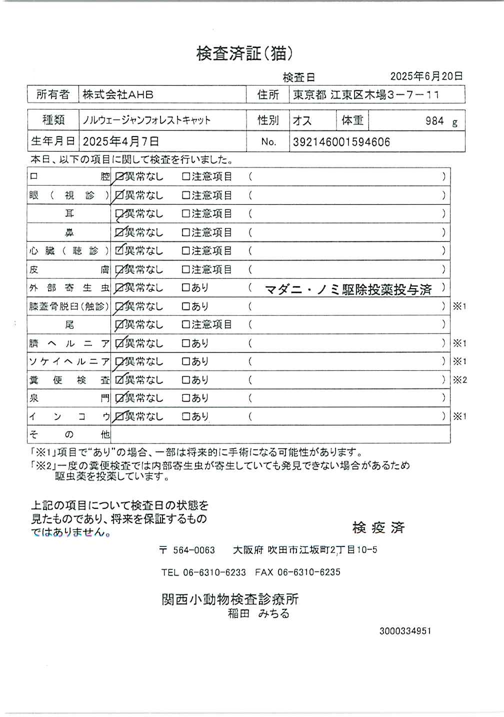 ノルウェージャンフォレストキャット