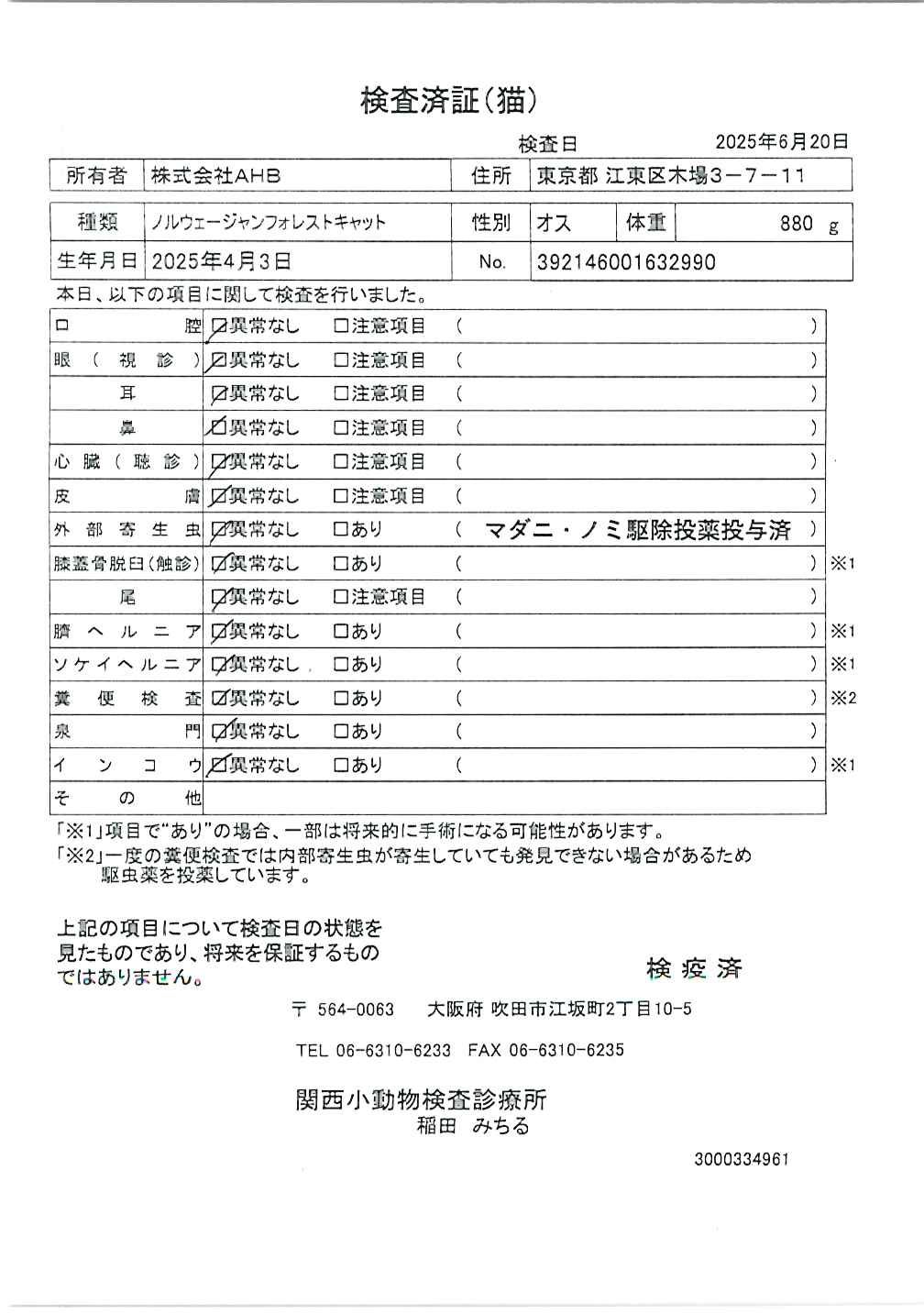 ノルウェージャンフォレストキャット