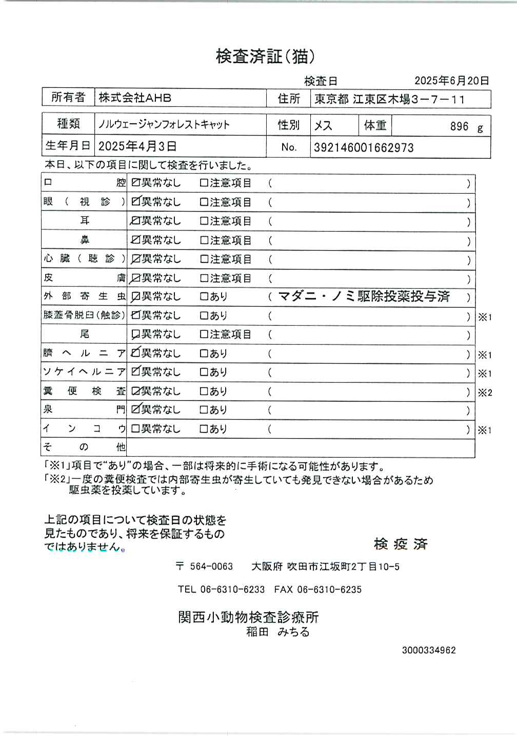 ノルウェージャンフォレストキャット