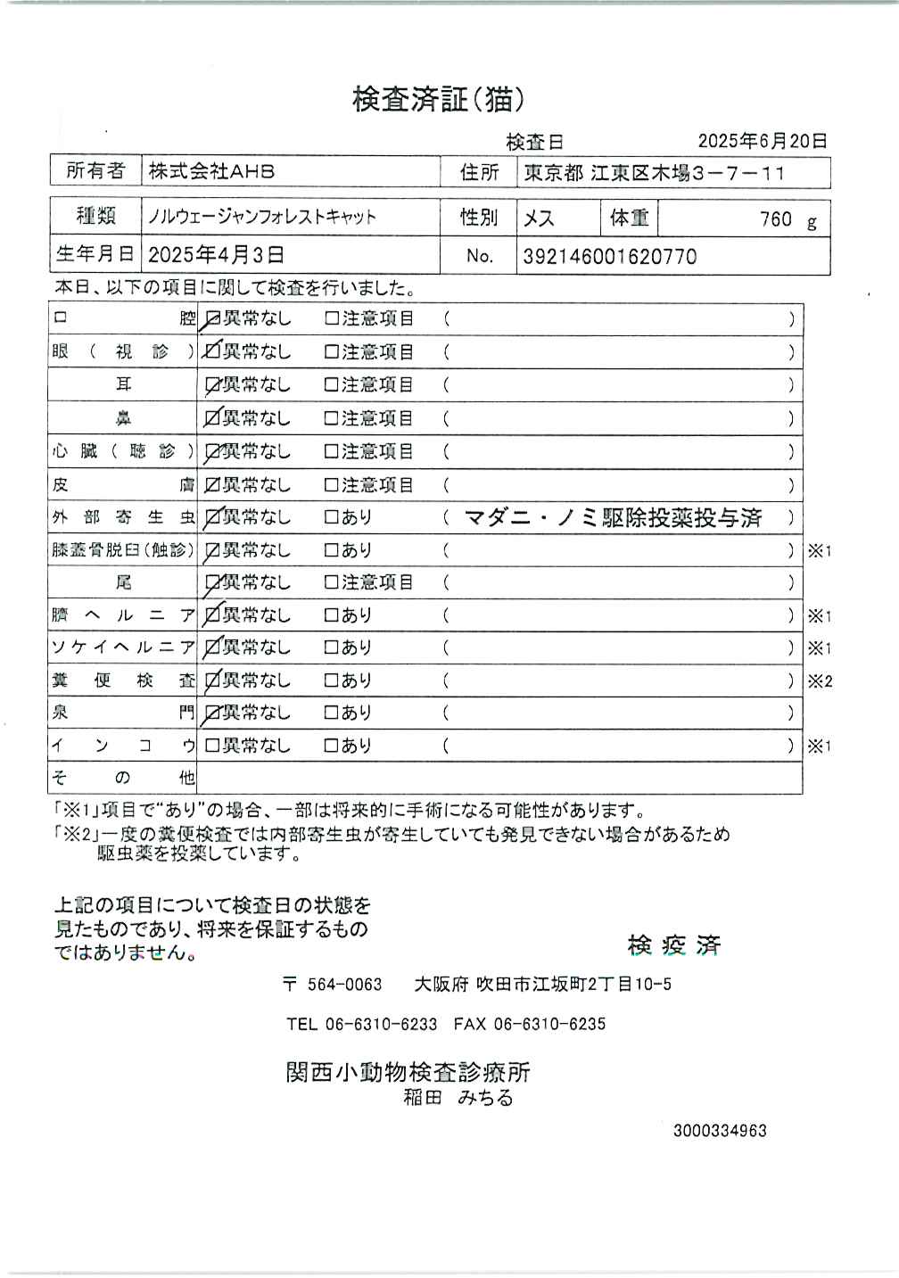 ノルウェージャンフォレストキャット