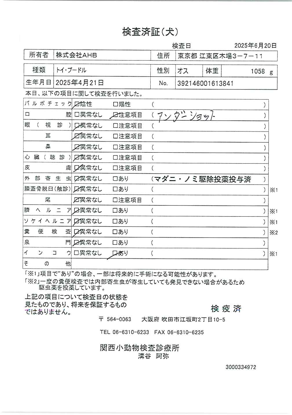 トイ・プードル