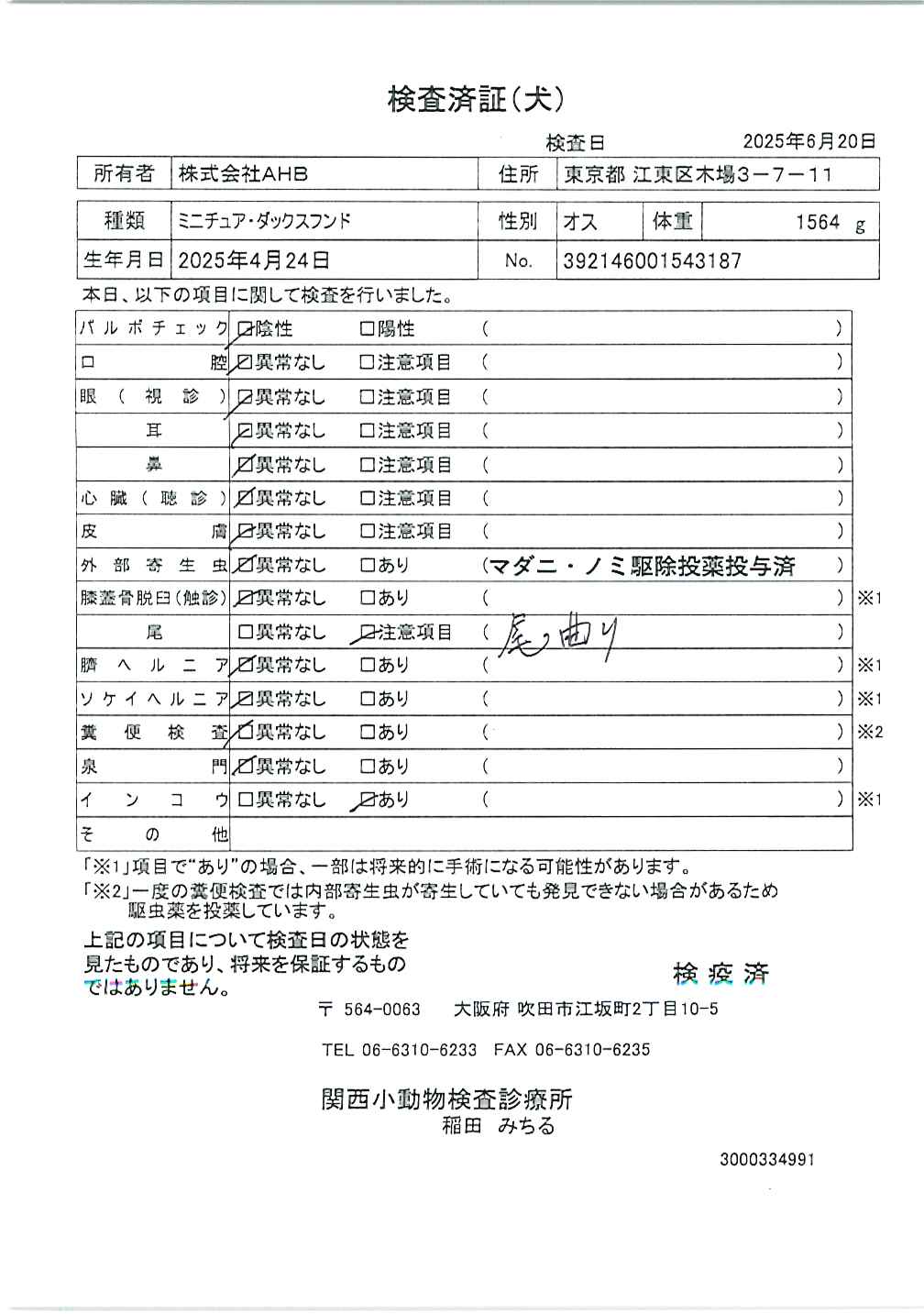 ミニチュア・ダックスフンド
