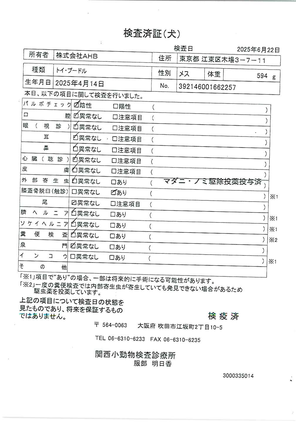 トイ・プードル