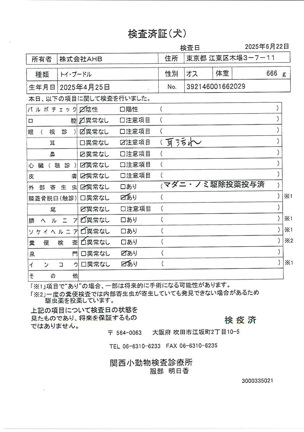 トイ・プードル