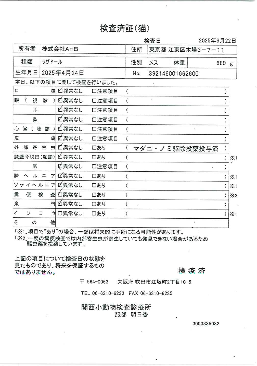 ラグドール