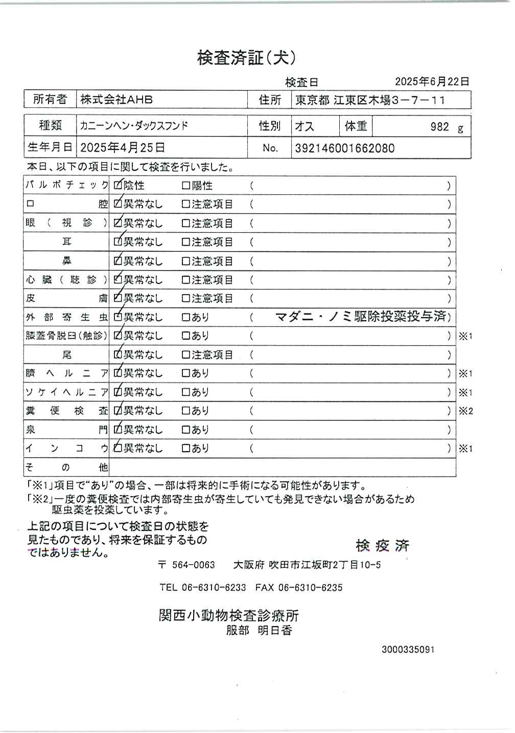 カニーンヘン・ダックスフンド