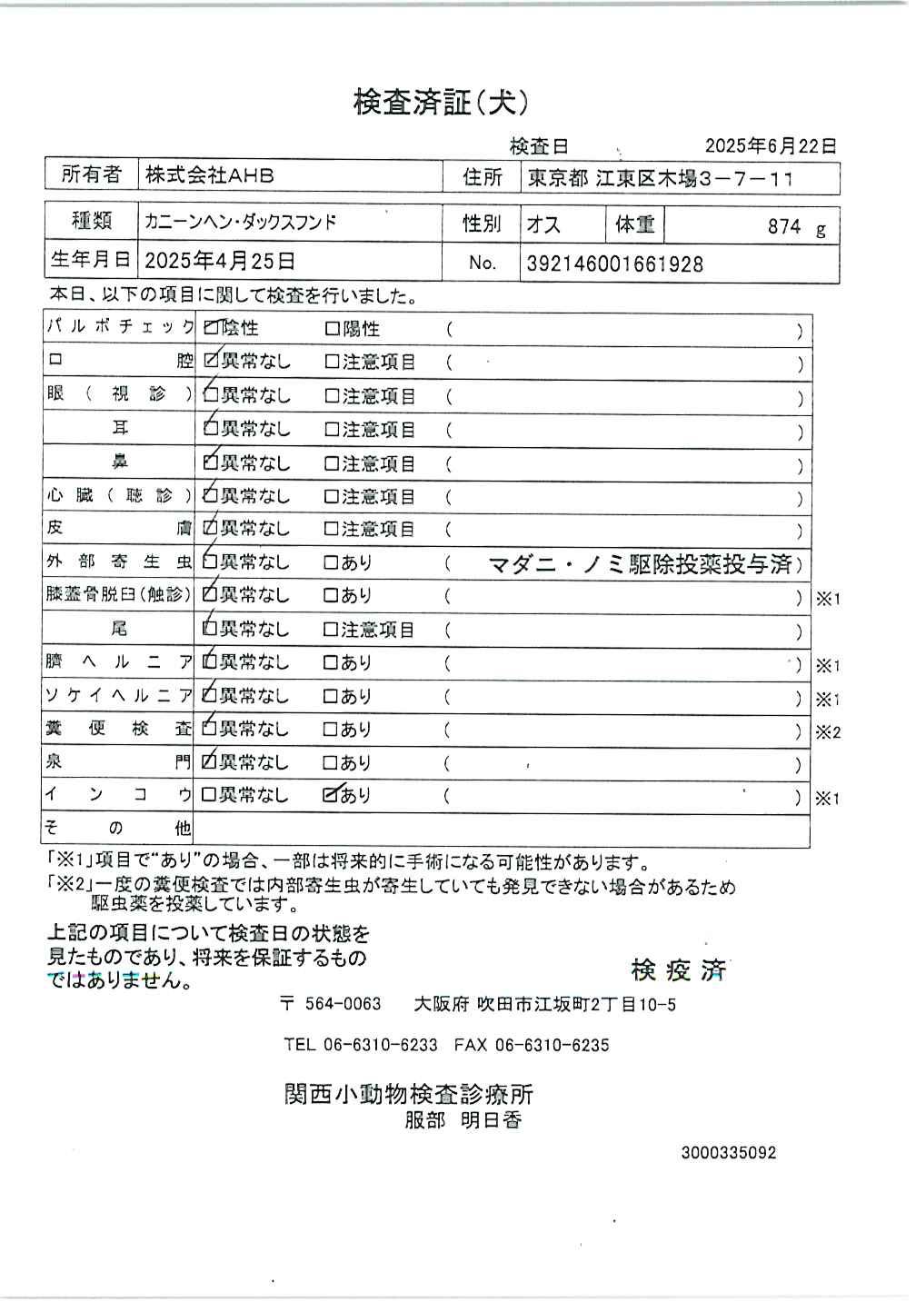 カニーンヘン・ダックスフンド