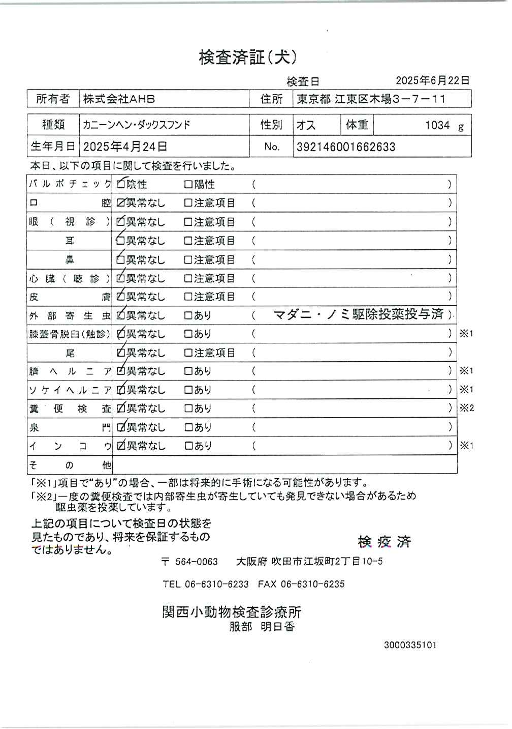 カニーンヘン・ダックスフンド
