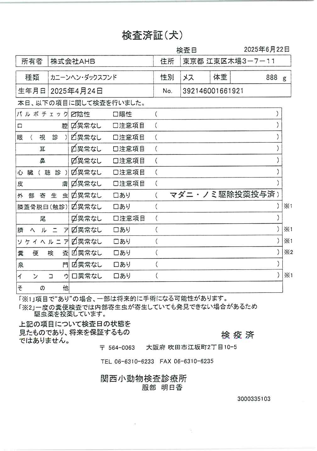 カニーンヘン・ダックスフンド