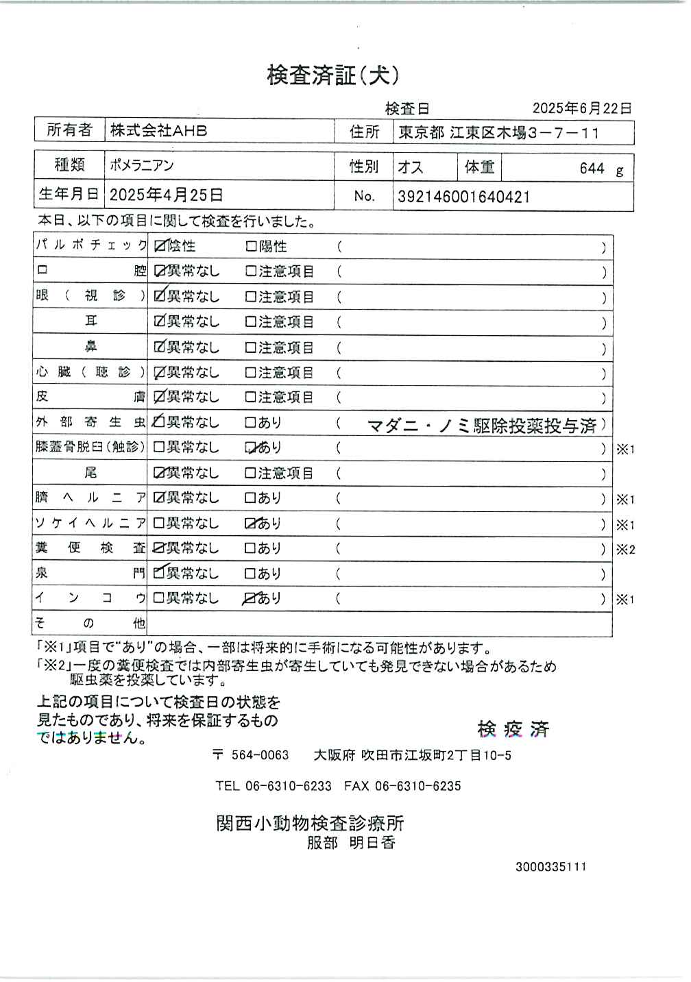 ポメラニアン
