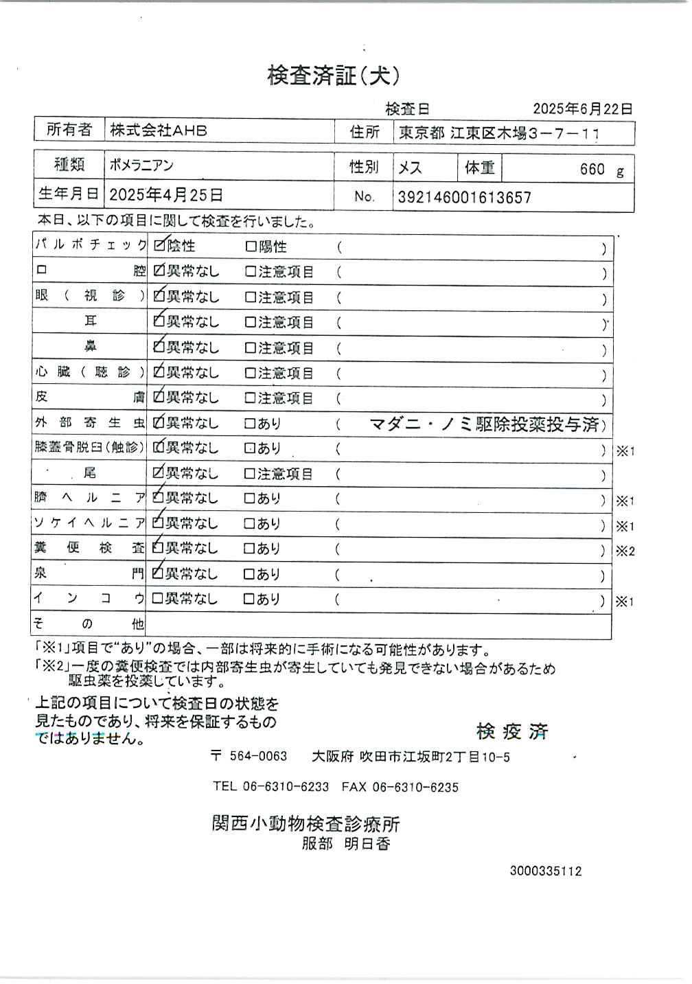 ポメラニアン