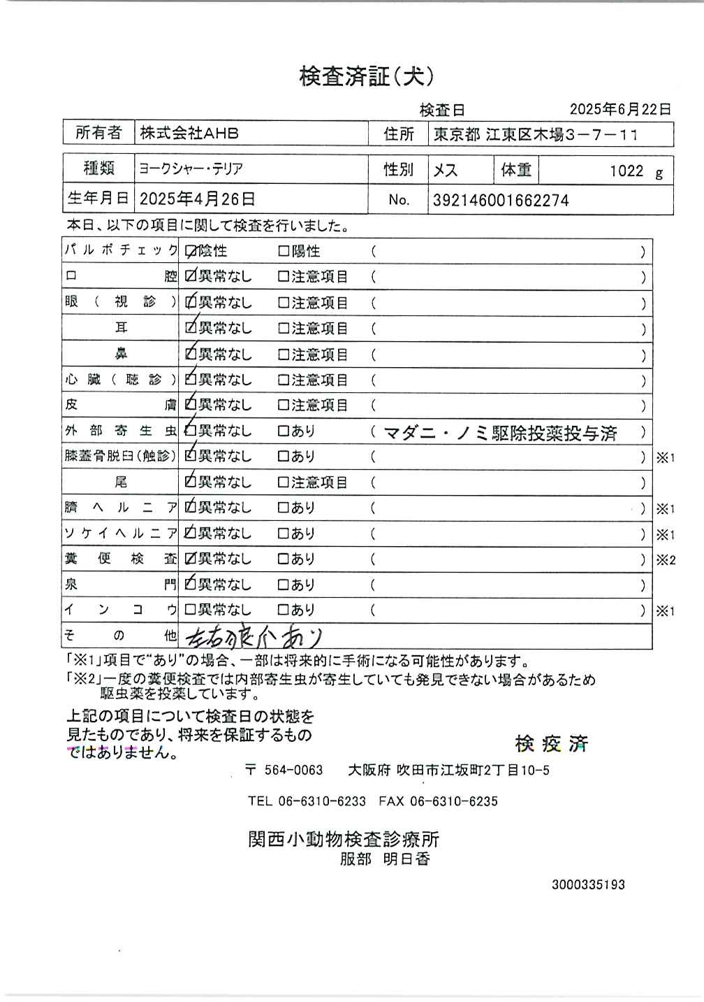 ヨークシャー・テリア