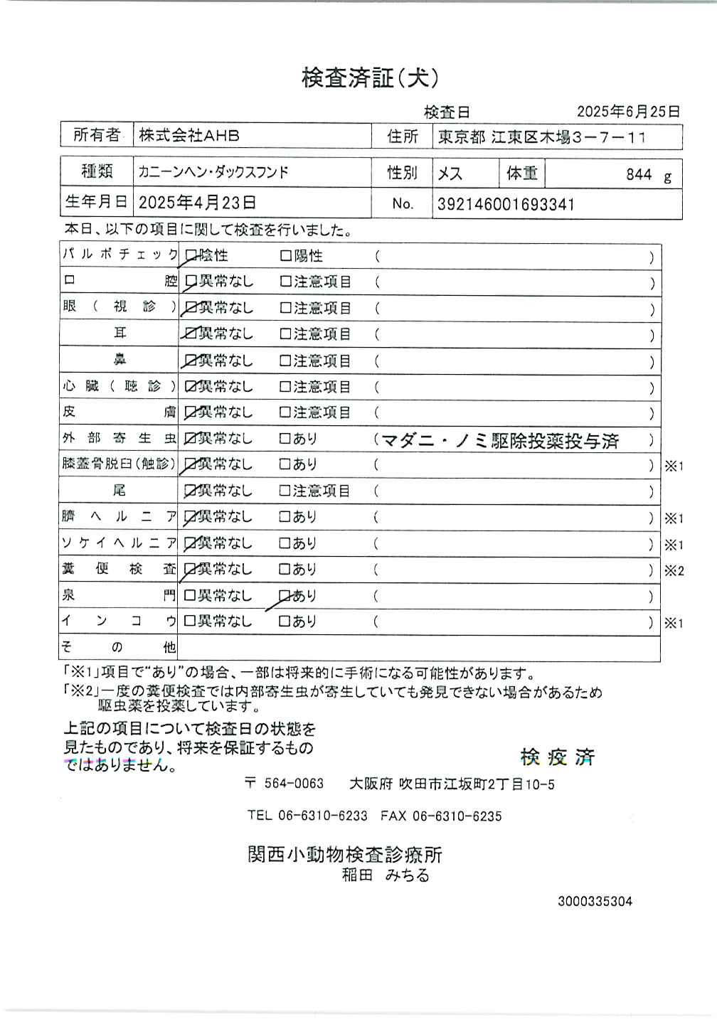 カニーンヘン・ダックスフンド