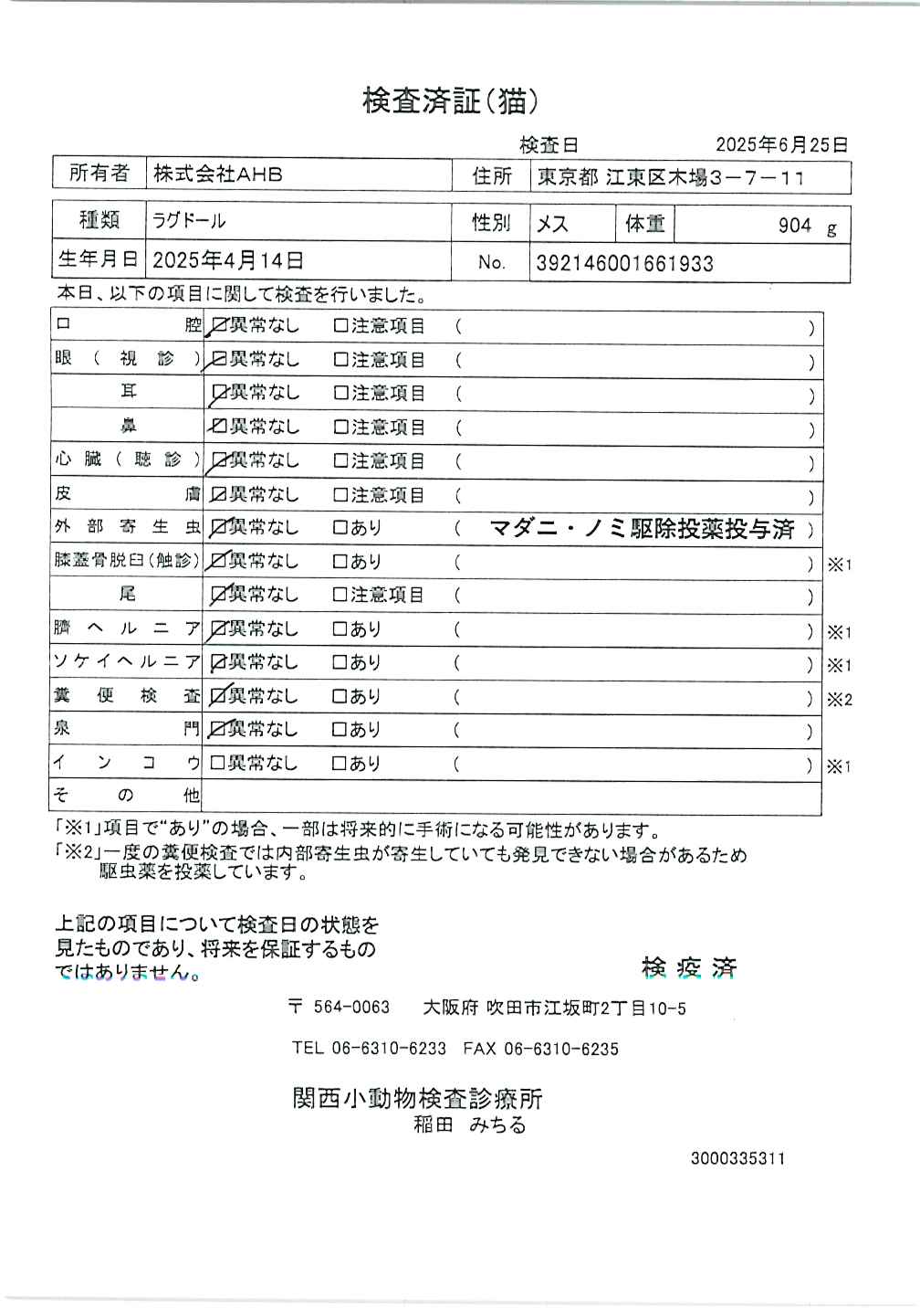 ラグドール