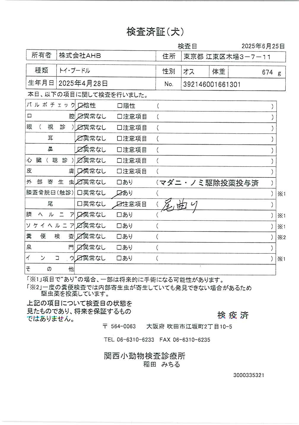 トイ・プードル
