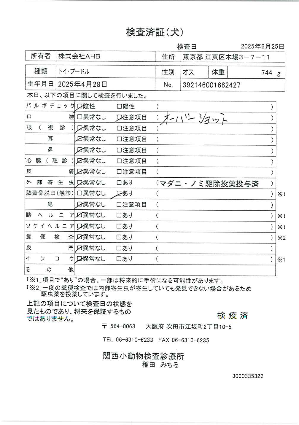 トイ・プードル
