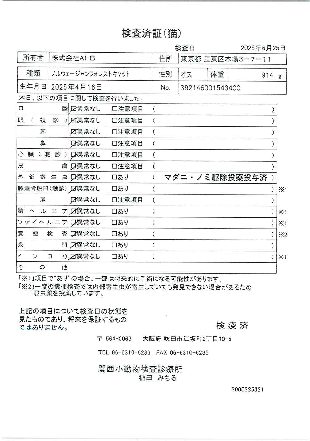 ノルウェージャンフォレストキャット