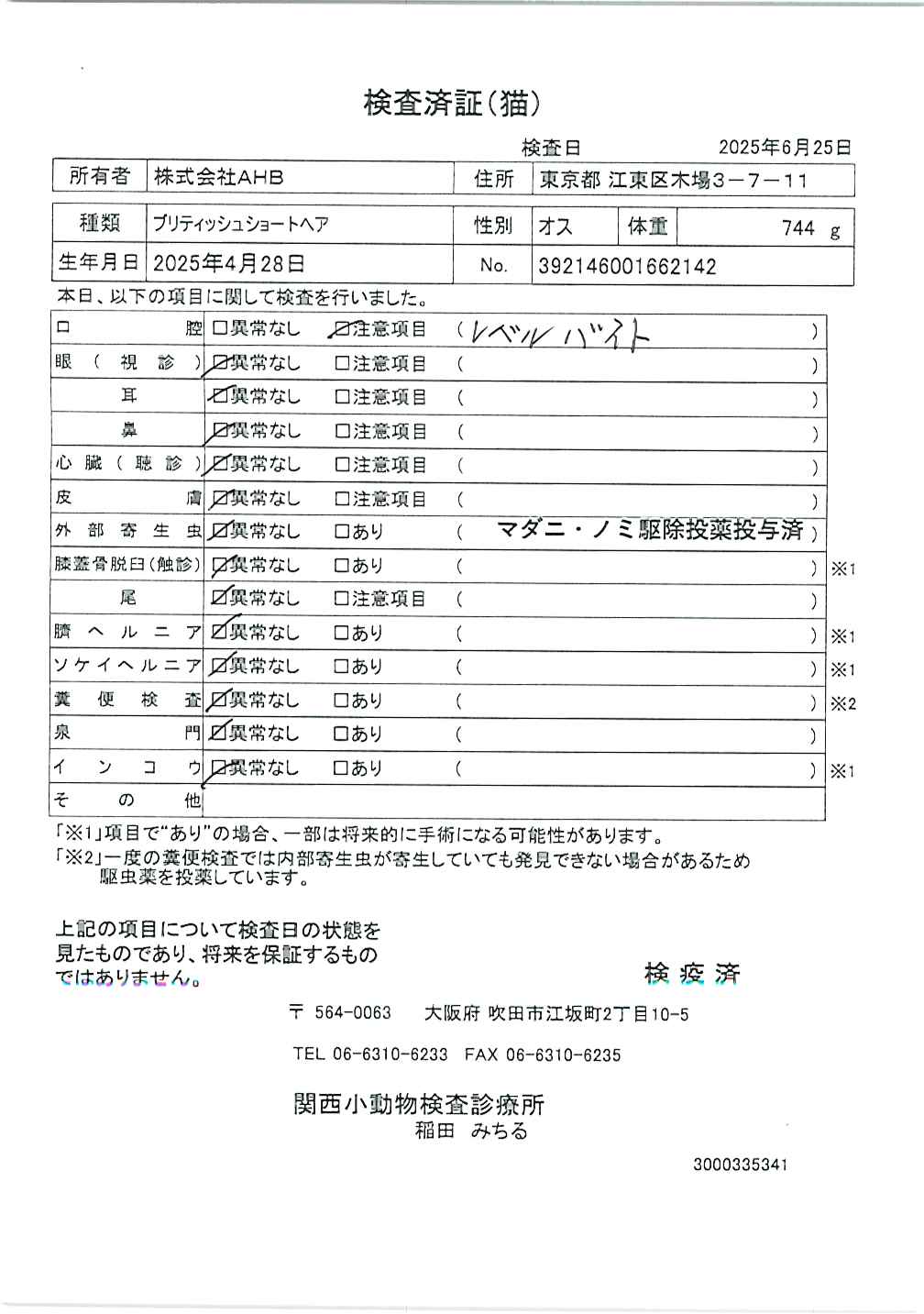ブリティッシュショートヘア