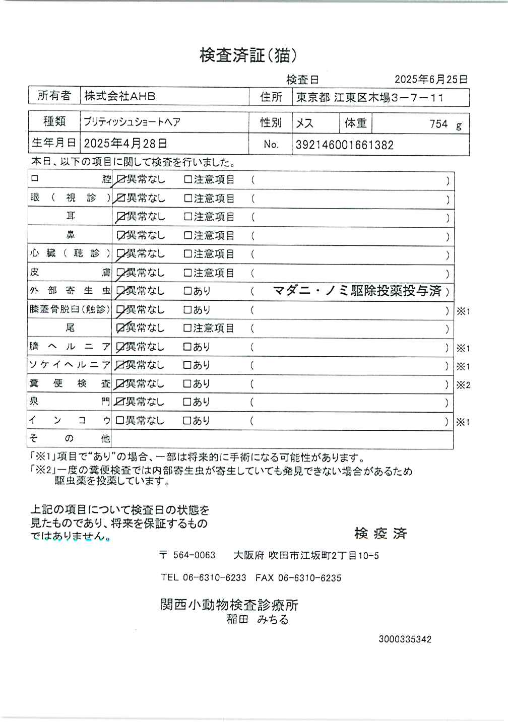 ブリティッシュショートヘア