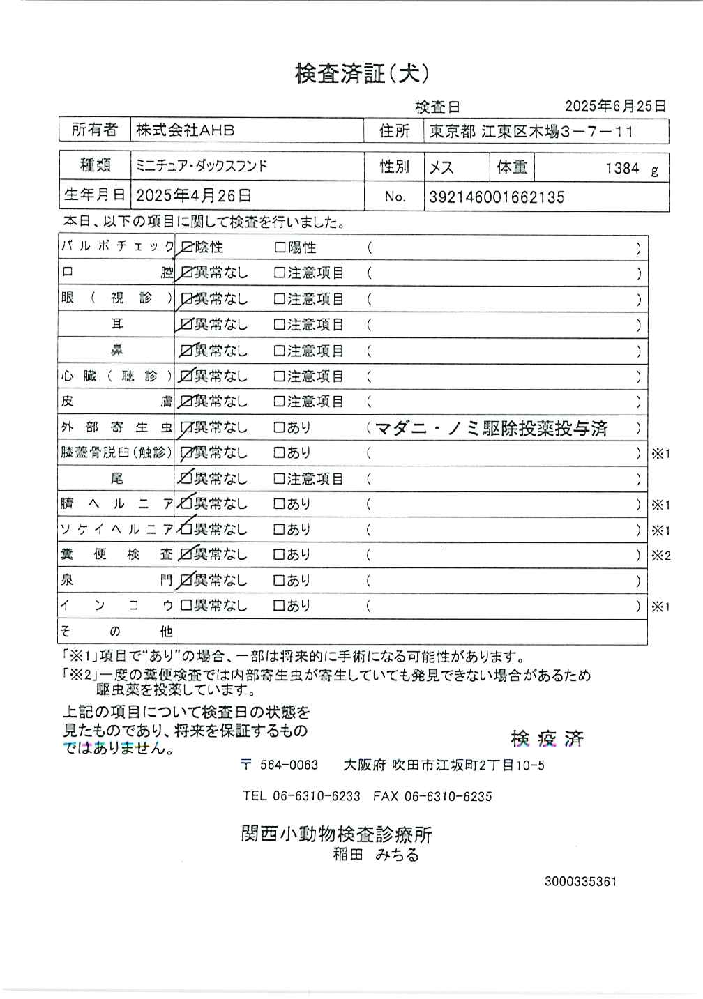 ミニチュア・ダックスフンド