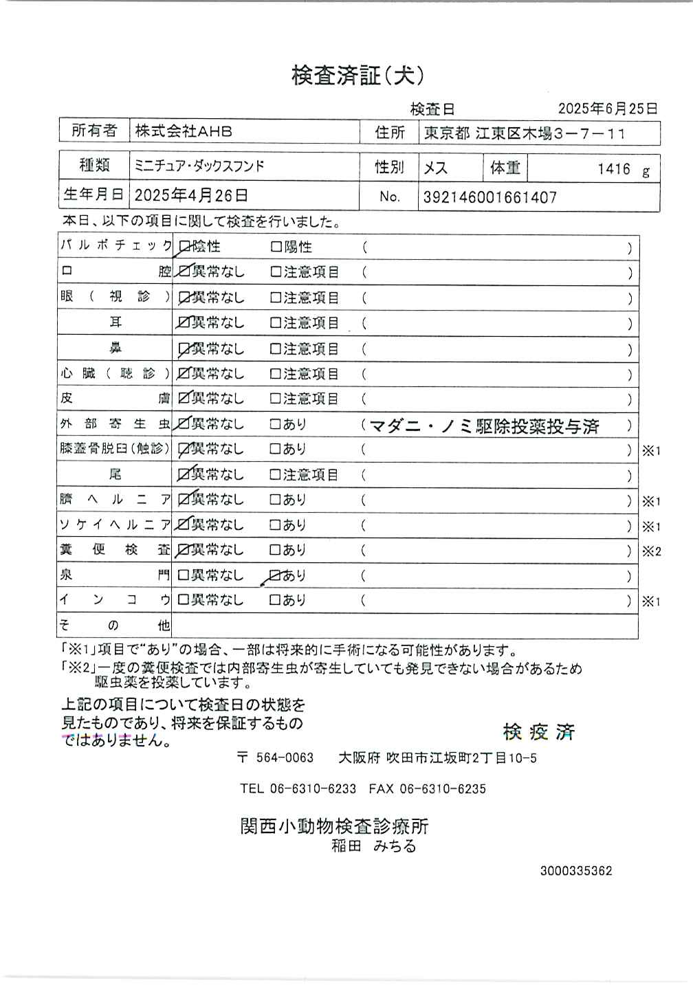 ミニチュア・ダックスフンド