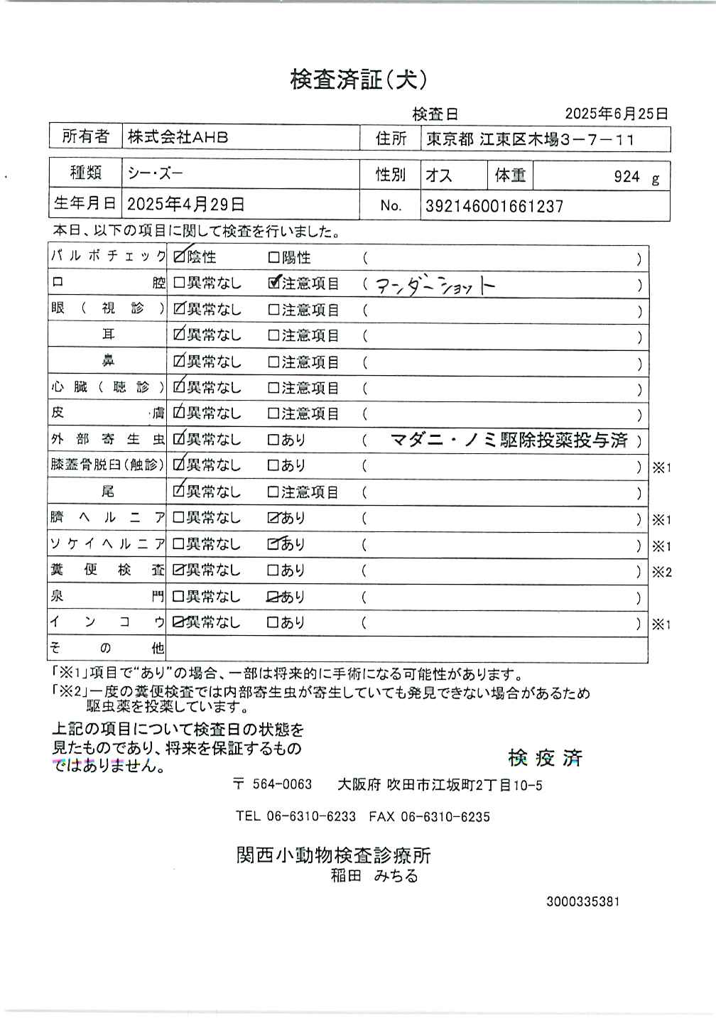 シー・ズー