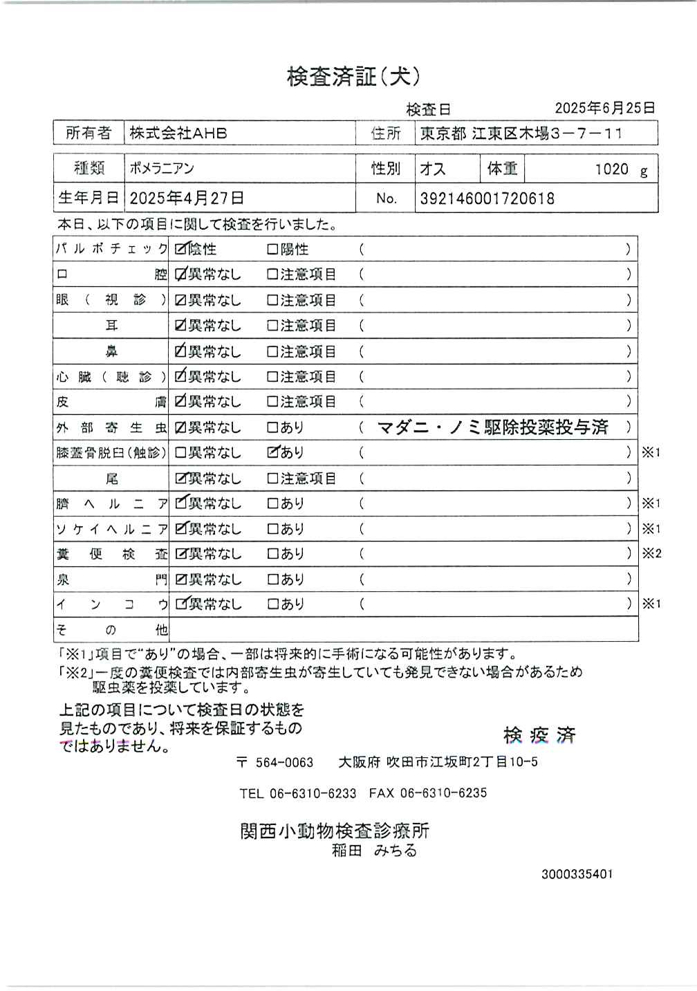 ポメラニアン