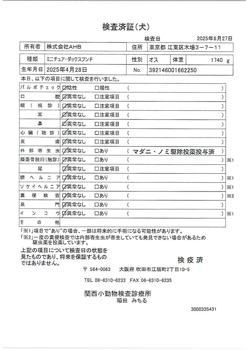 ミニチュア・ダックスフンド