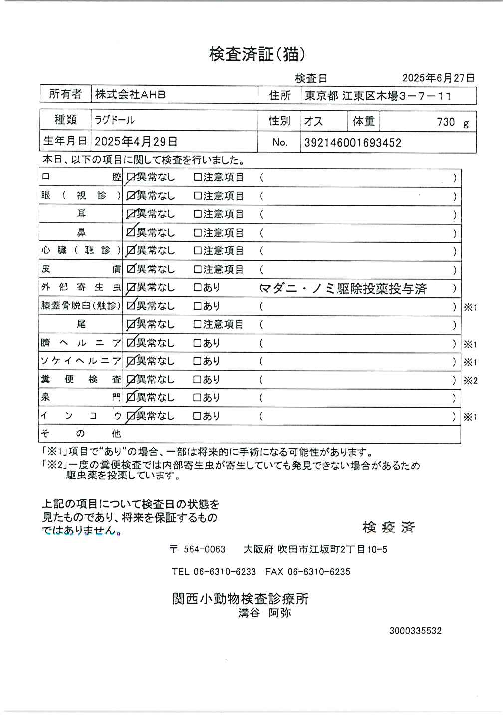 ラグドール