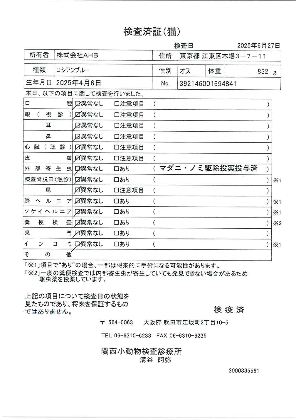 ロシアンブルー