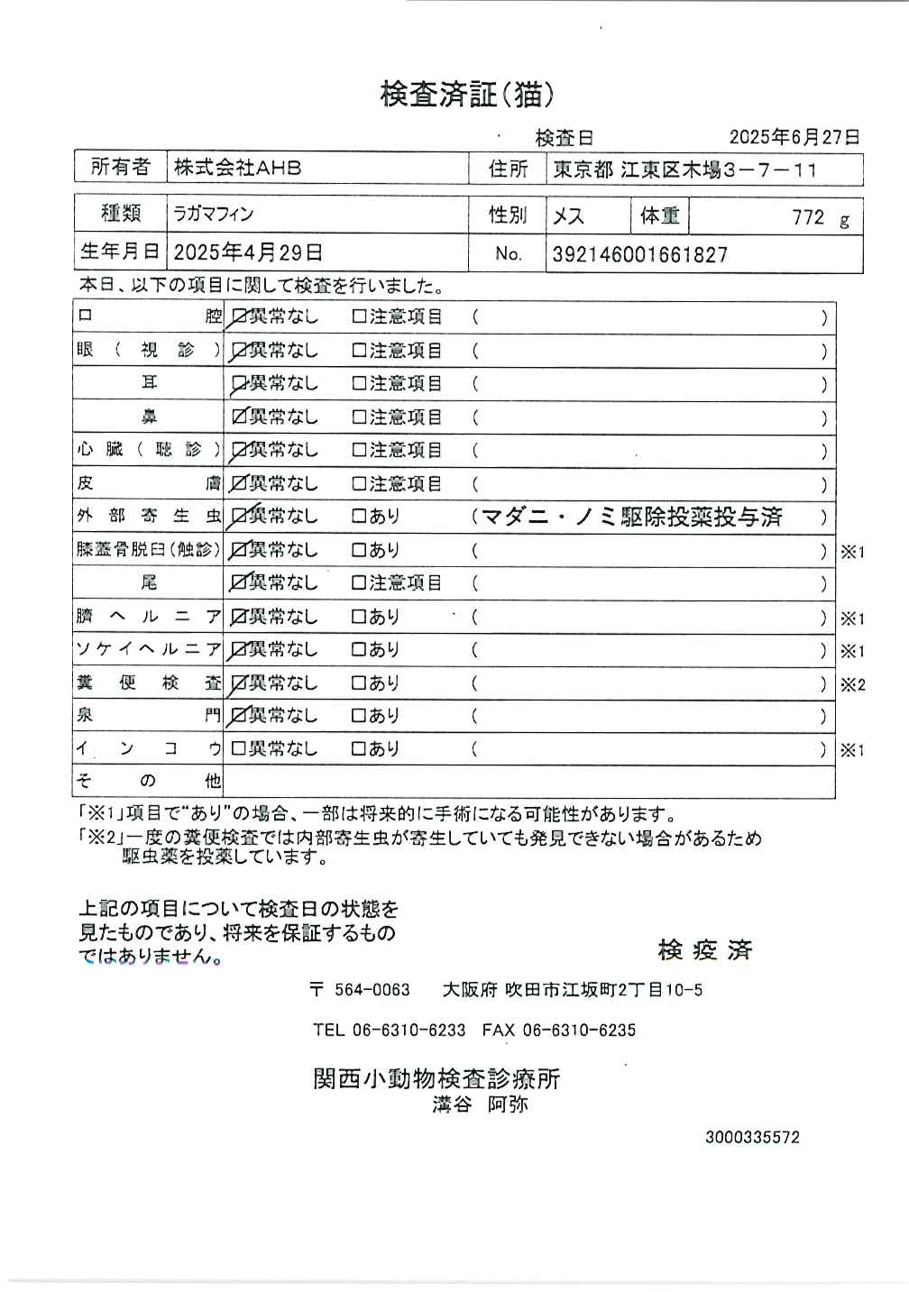 ラガマフィン