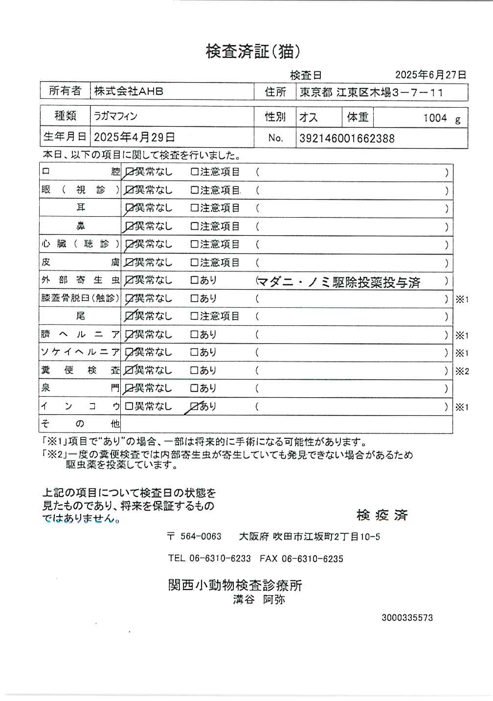 ラガマフィン