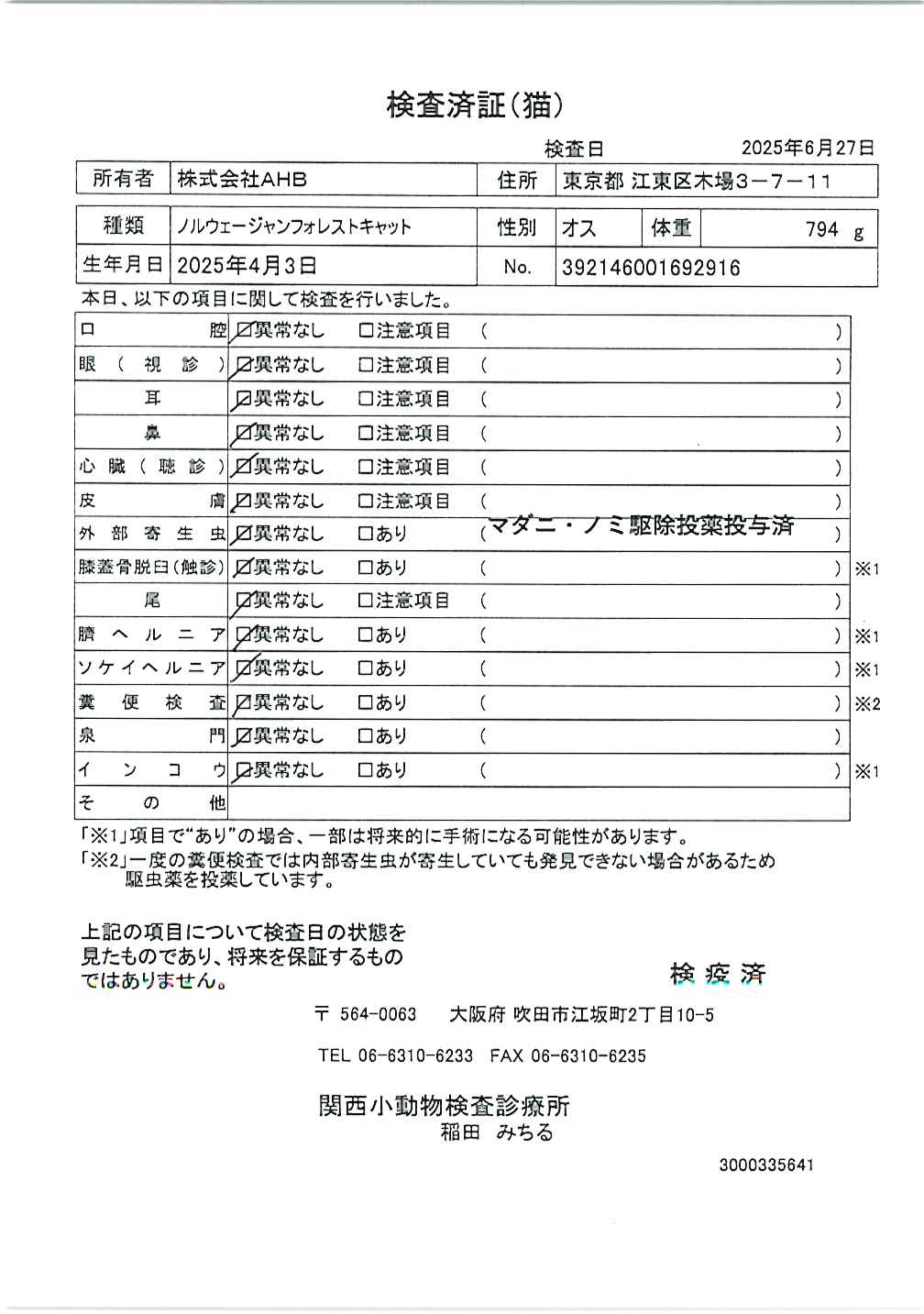 ノルウェージャンフォレストキャット