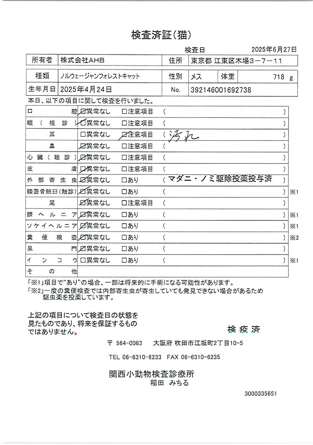 ノルウェージャンフォレストキャット