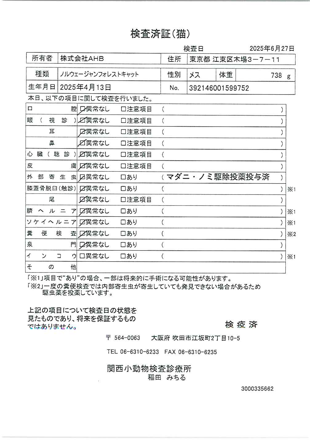 ノルウェージャンフォレストキャット