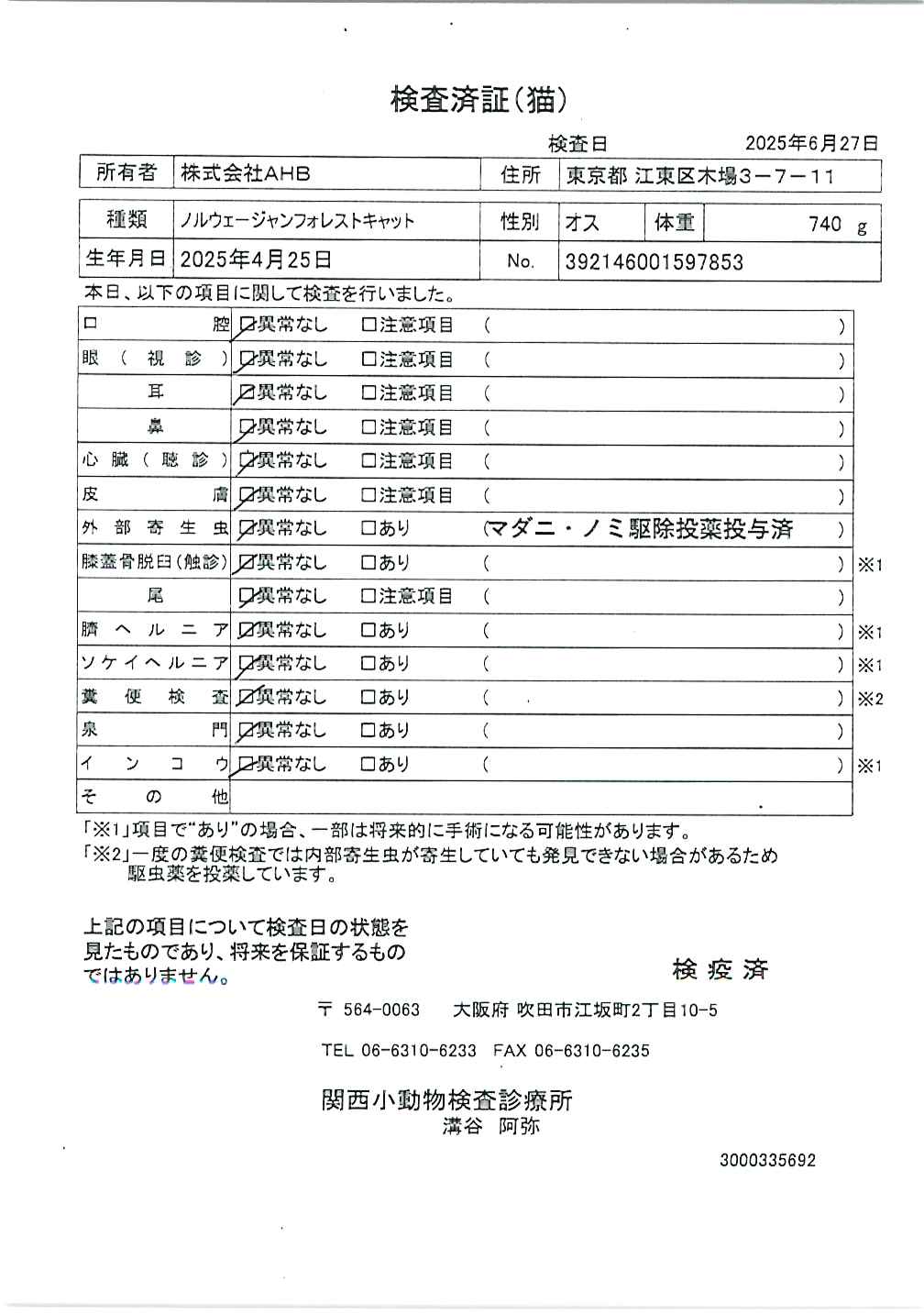 ノルウェージャンフォレストキャット