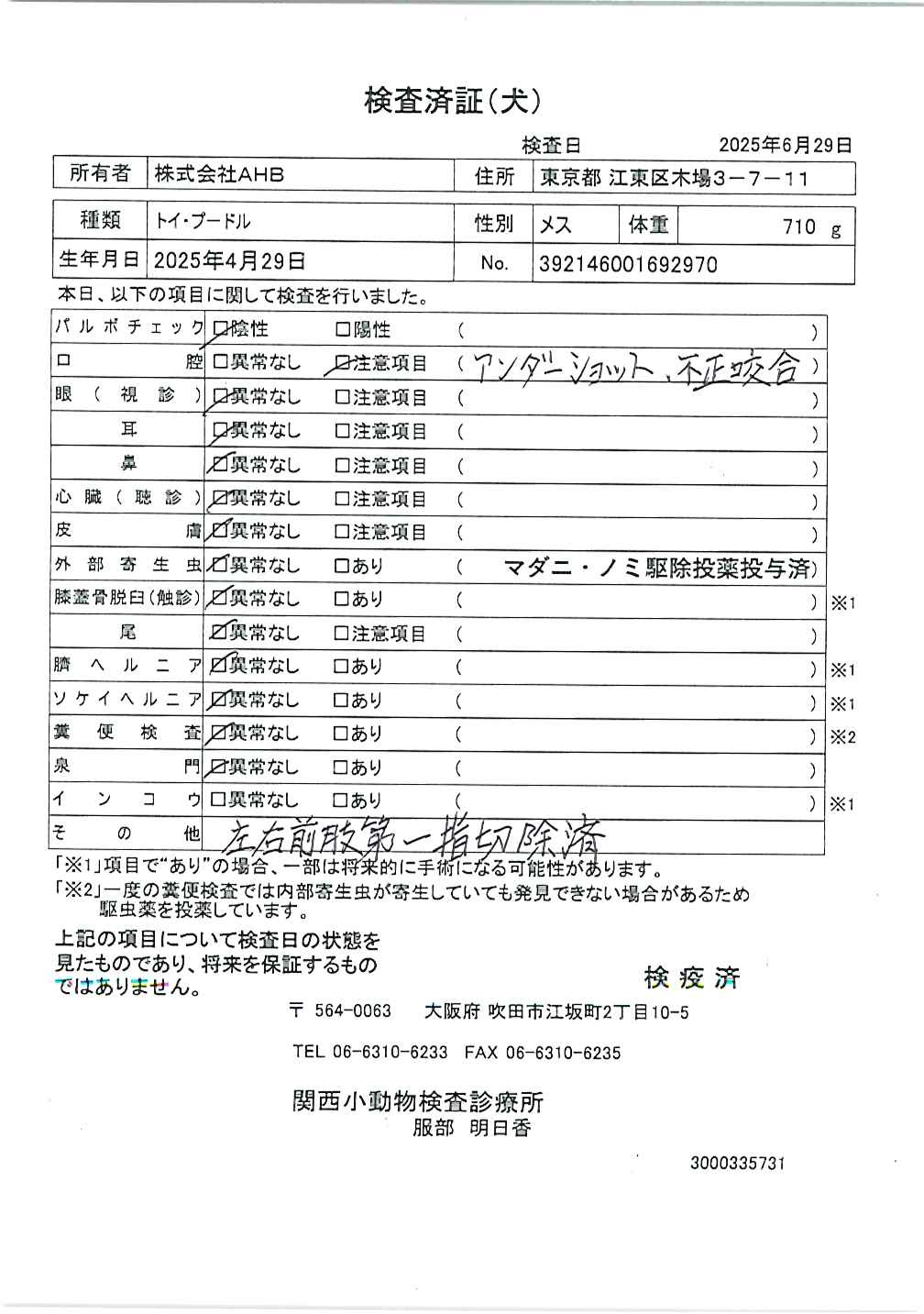 トイ・プードル