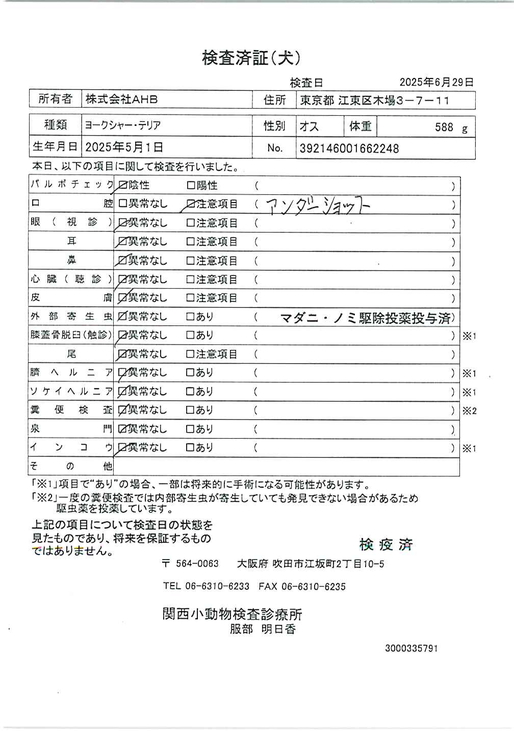 ヨークシャー・テリア