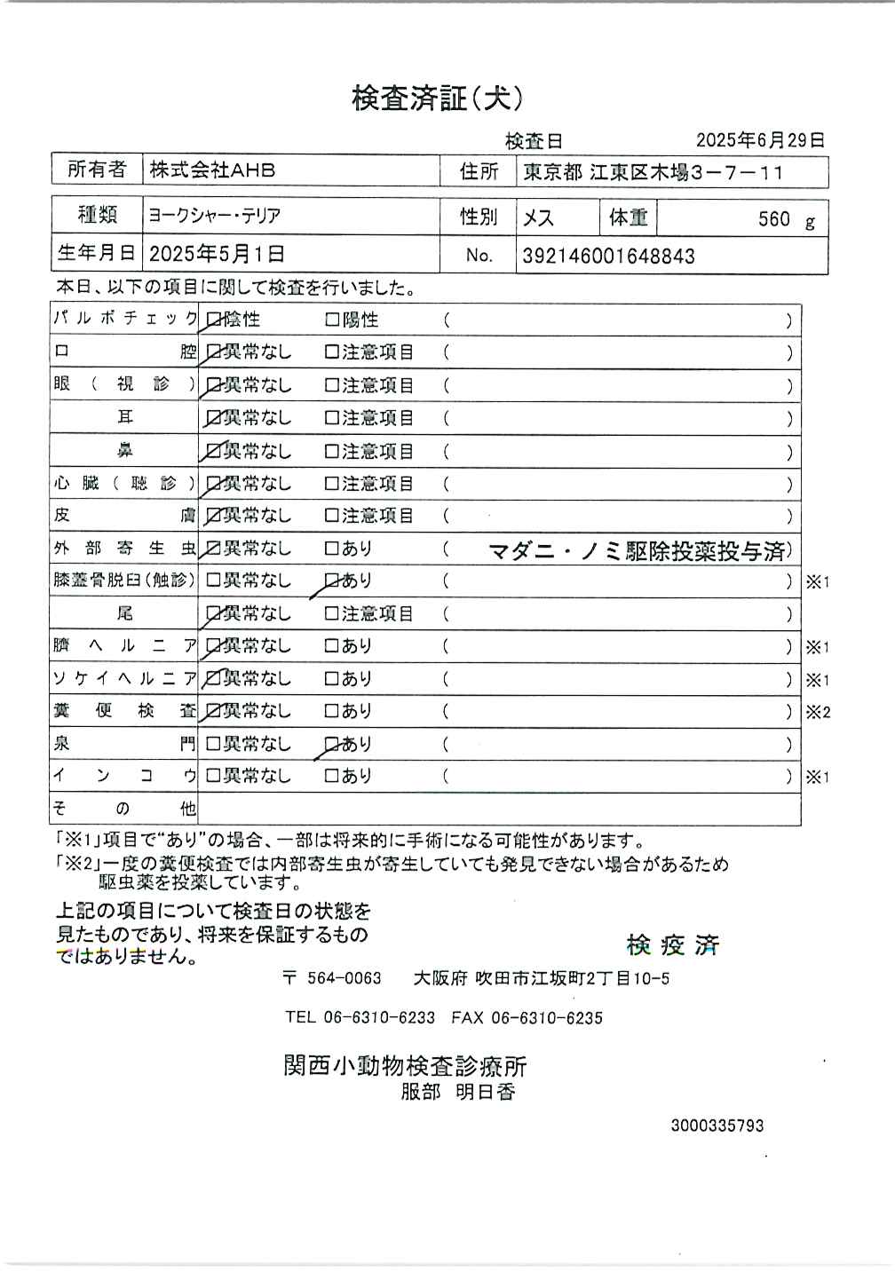 ヨークシャー・テリア