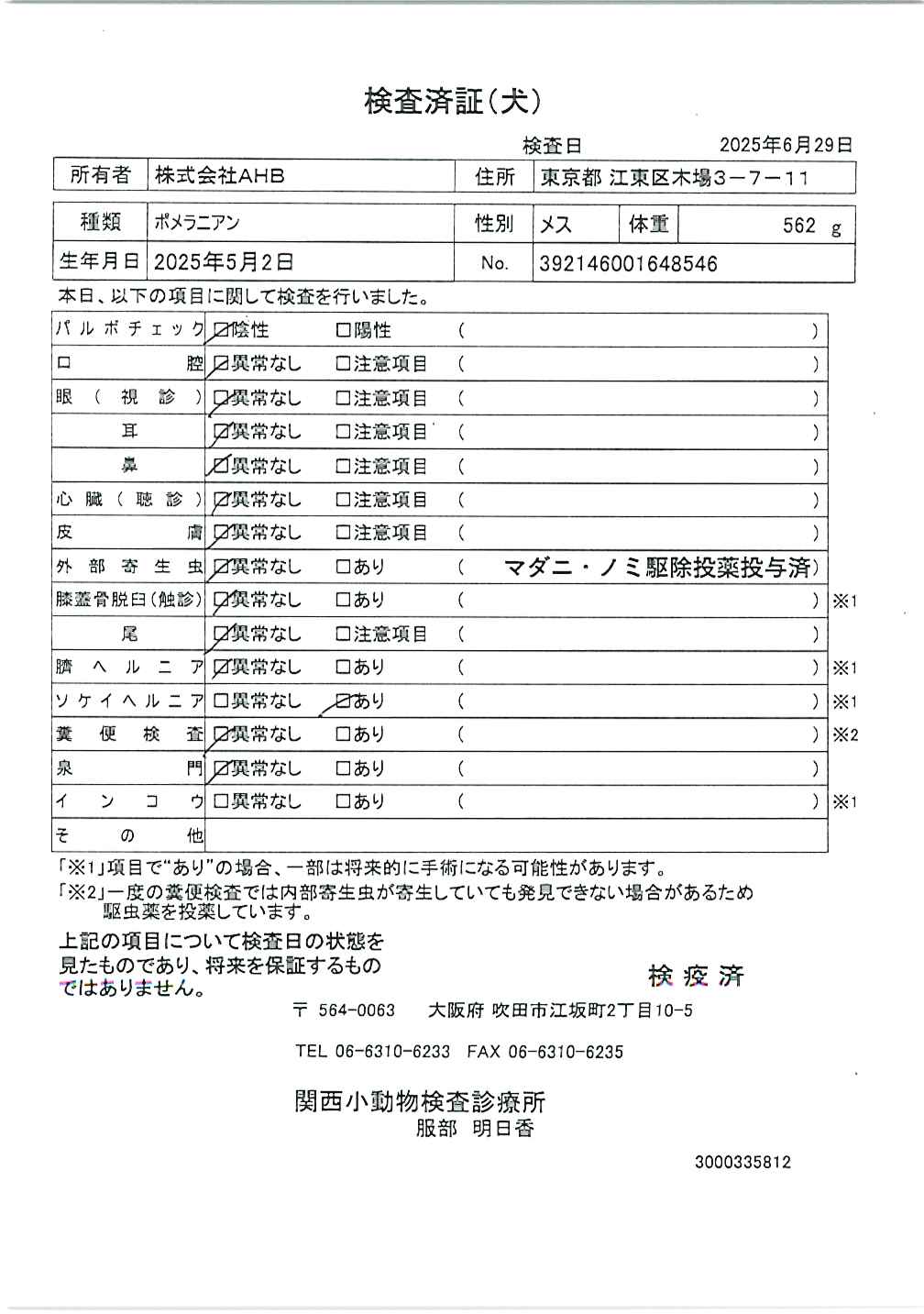 ポメラニアン
