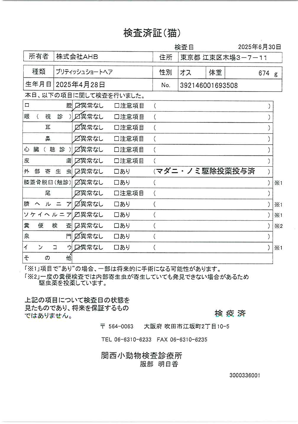 ブリティッシュショートヘア