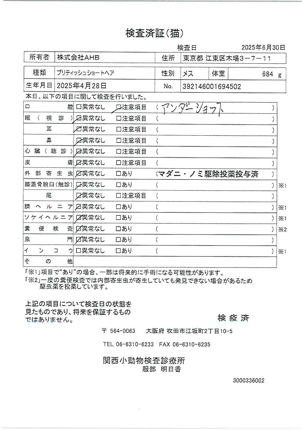 ブリティッシュショートヘア