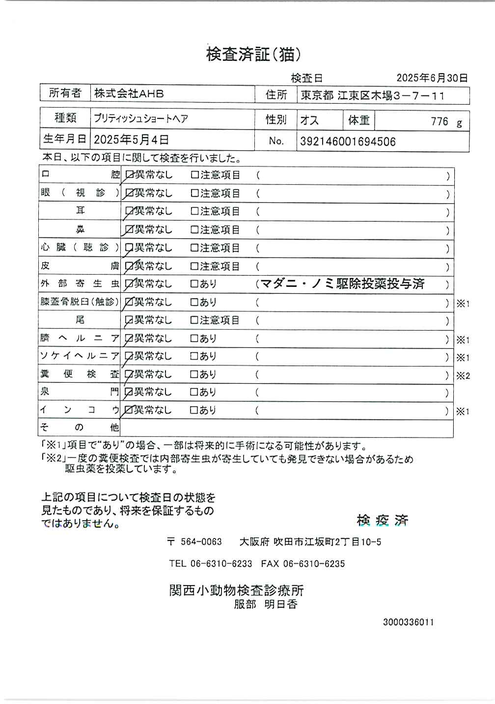 ブリティッシュショートヘア