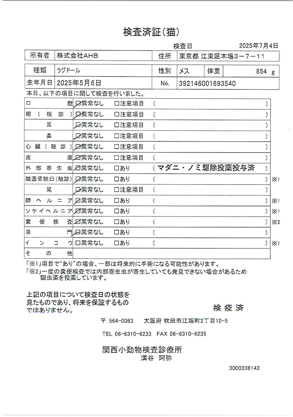 ラグドール