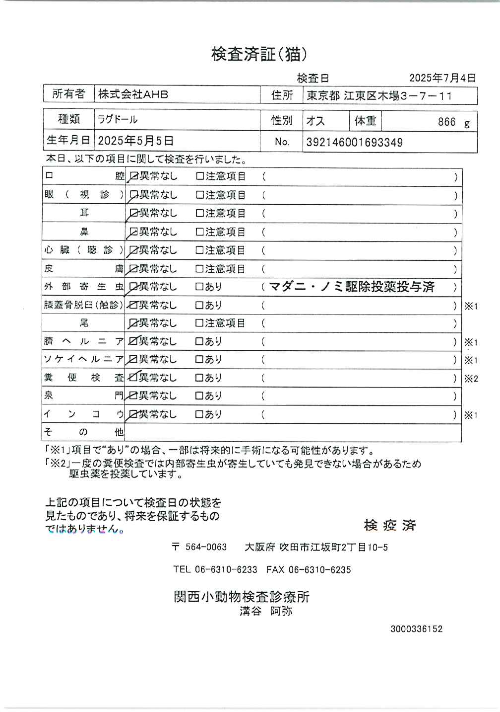 ラグドール
