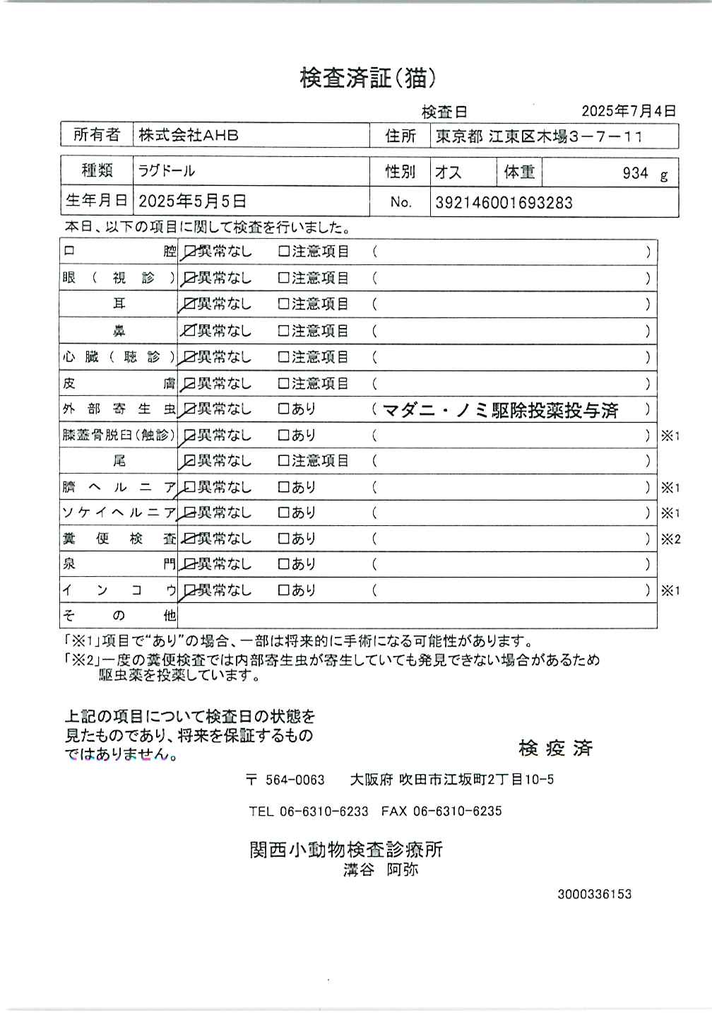 ラグドール