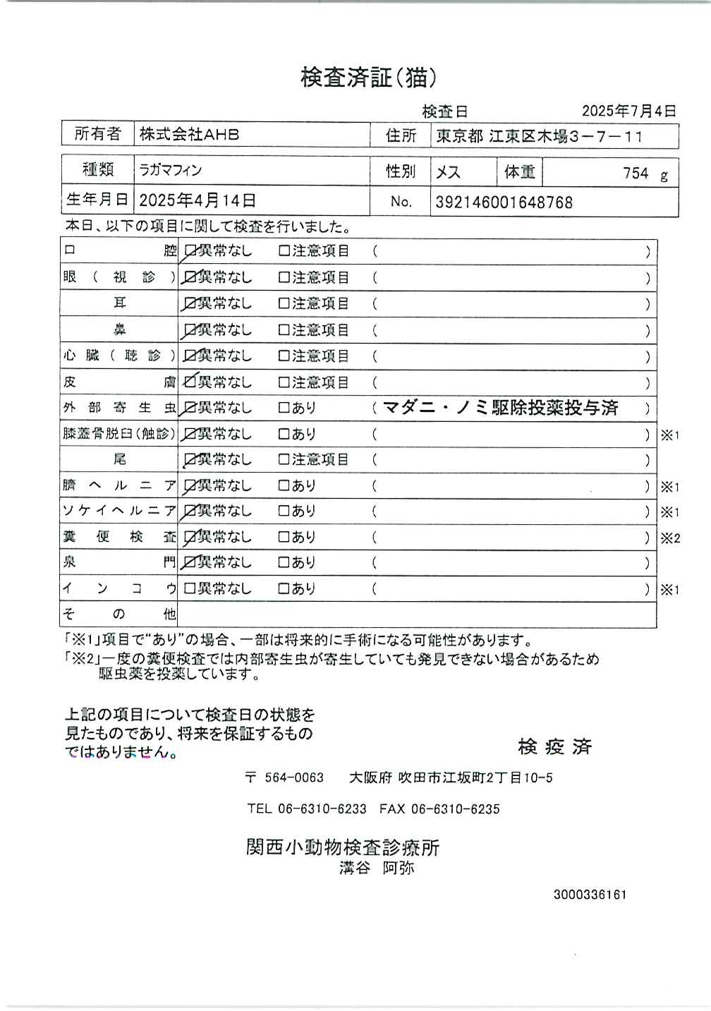 ラガマフィン