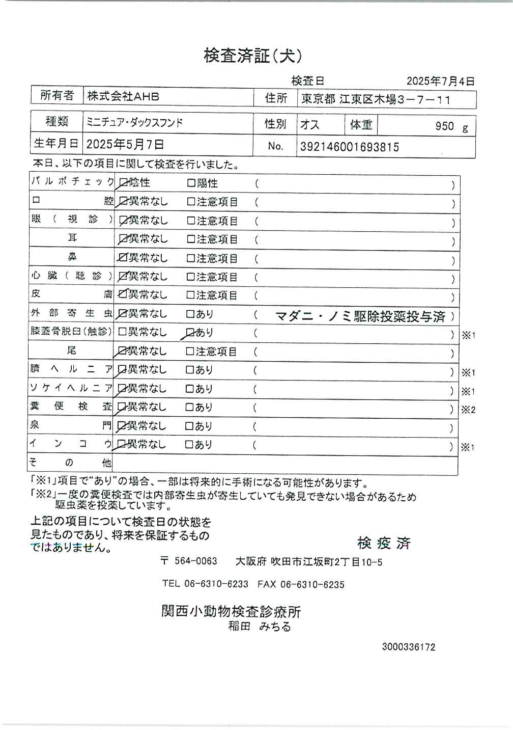 ミニチュア・ダックスフンド